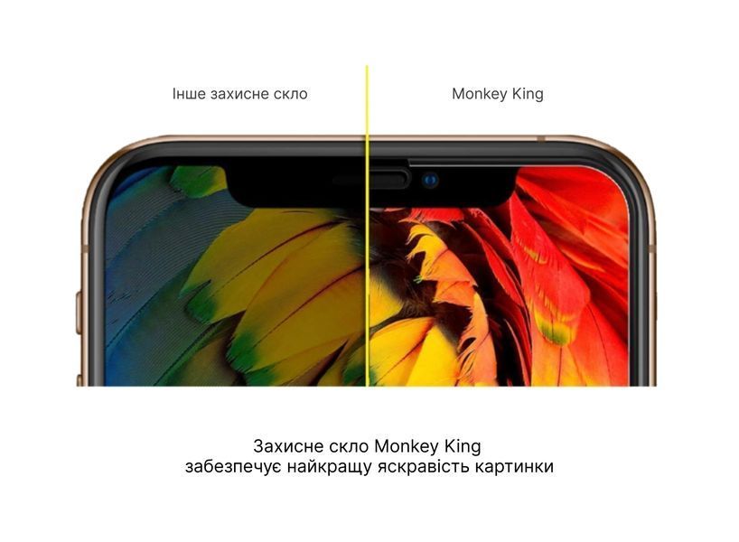 Захисне скло Monkey King ESD 5S Glass для Apple iPhone Xr/iPhone 11 Black 71152 фото