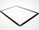 Скло LCD Apple iPad Air 6 13'' 2024 (A2899/A2900/A2898) з ОСА Black Original 1:1 88189 фото 7
